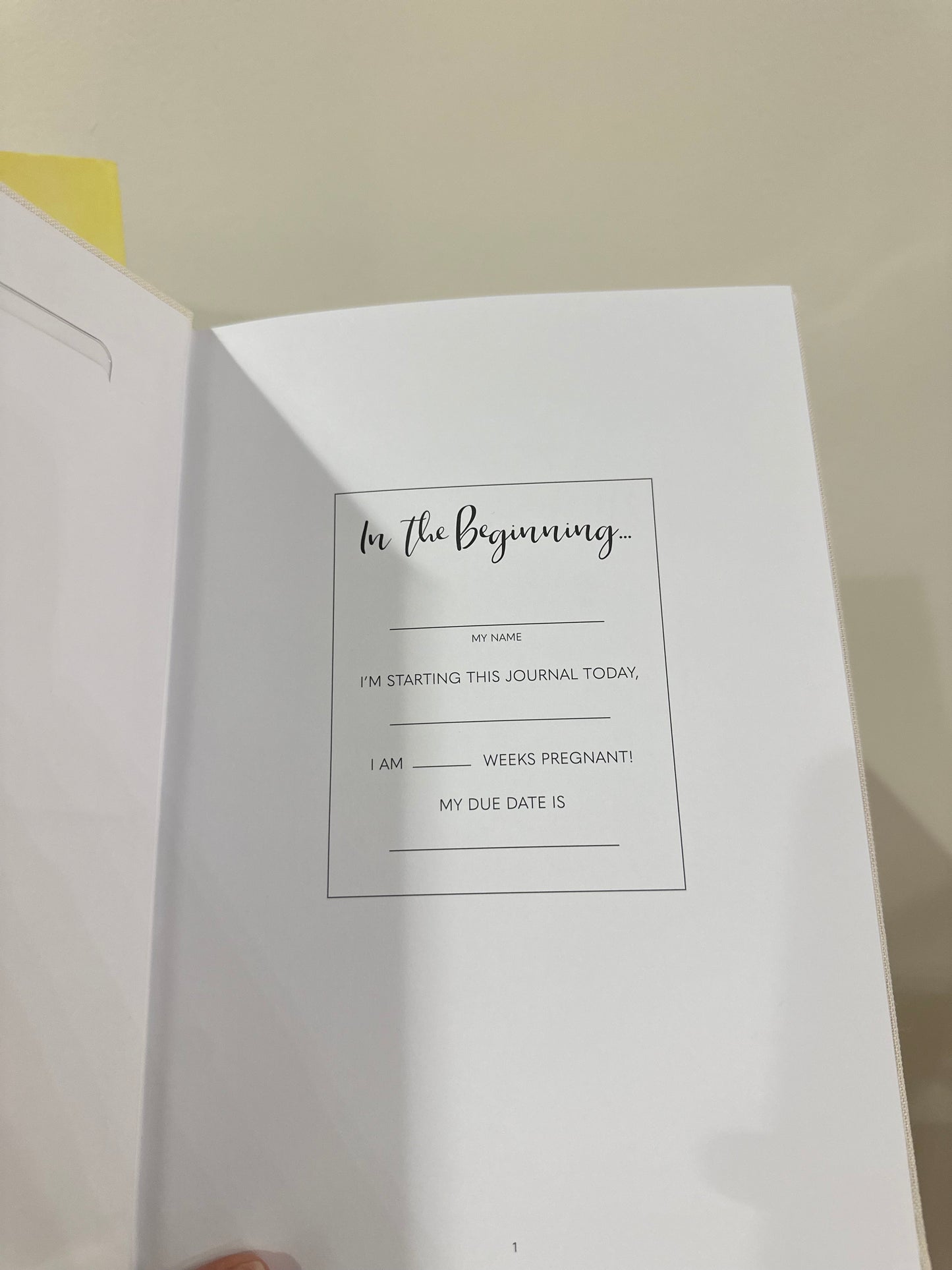 My little bump journal