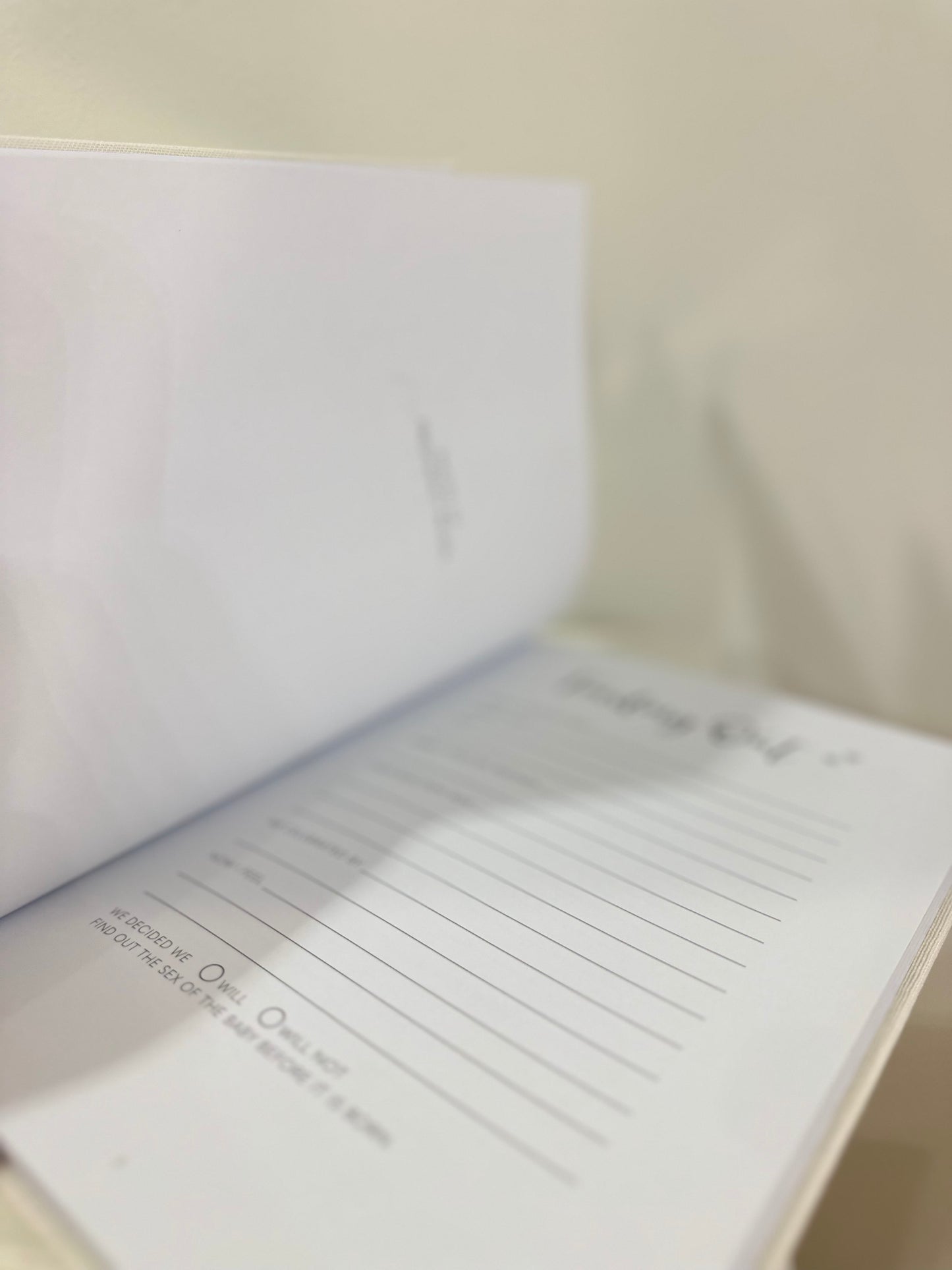 My little bump journal
