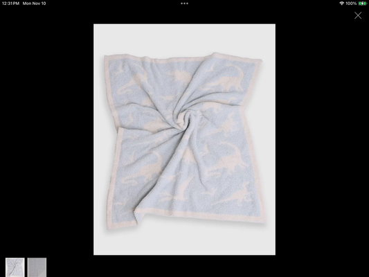 Dinosaur print kids luxury soft throw blanket